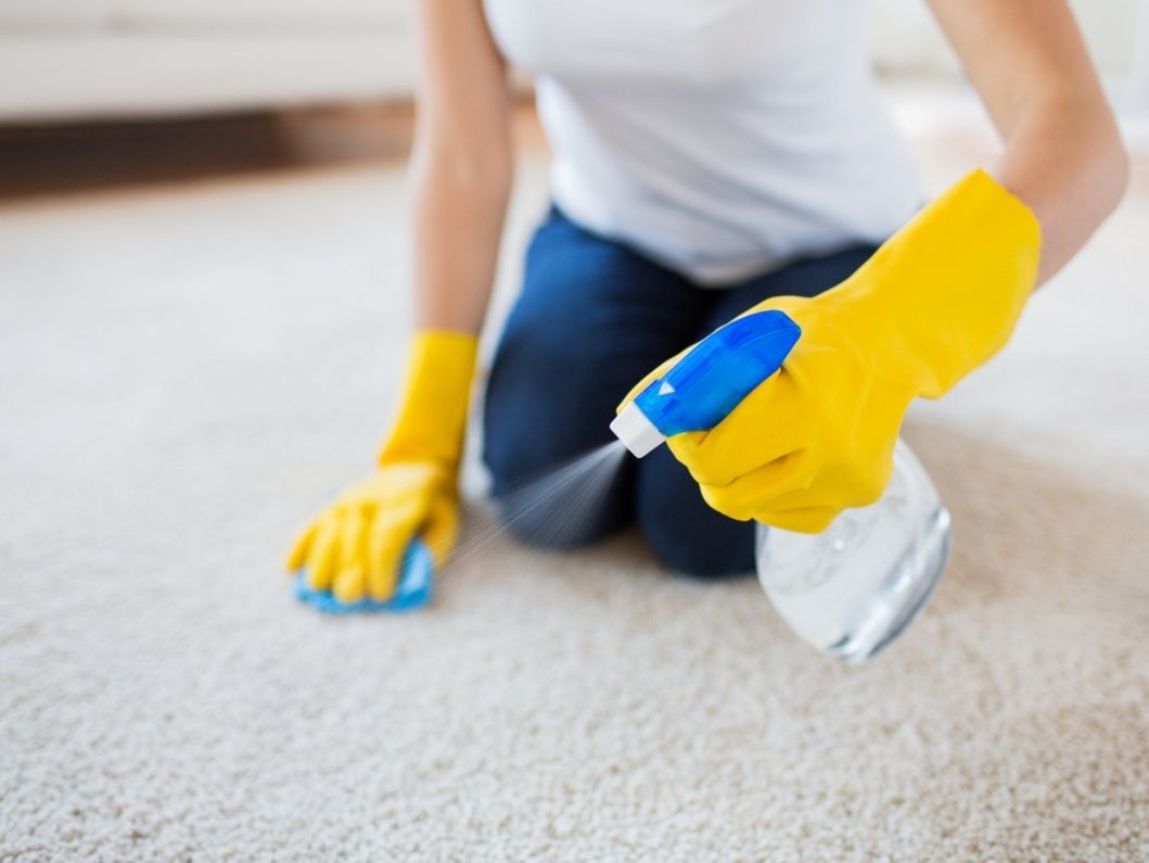 Types of Carpet and Upholstery Cleaners