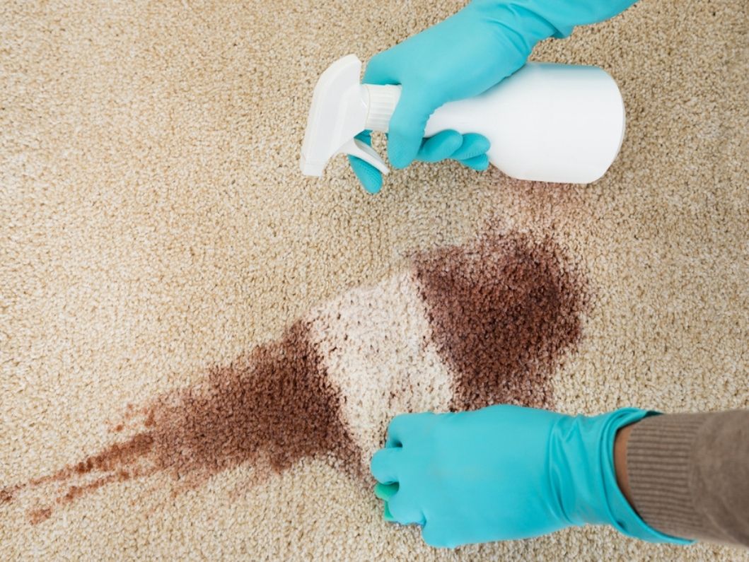 Formulations of Carpet and Upholstery Cleaners