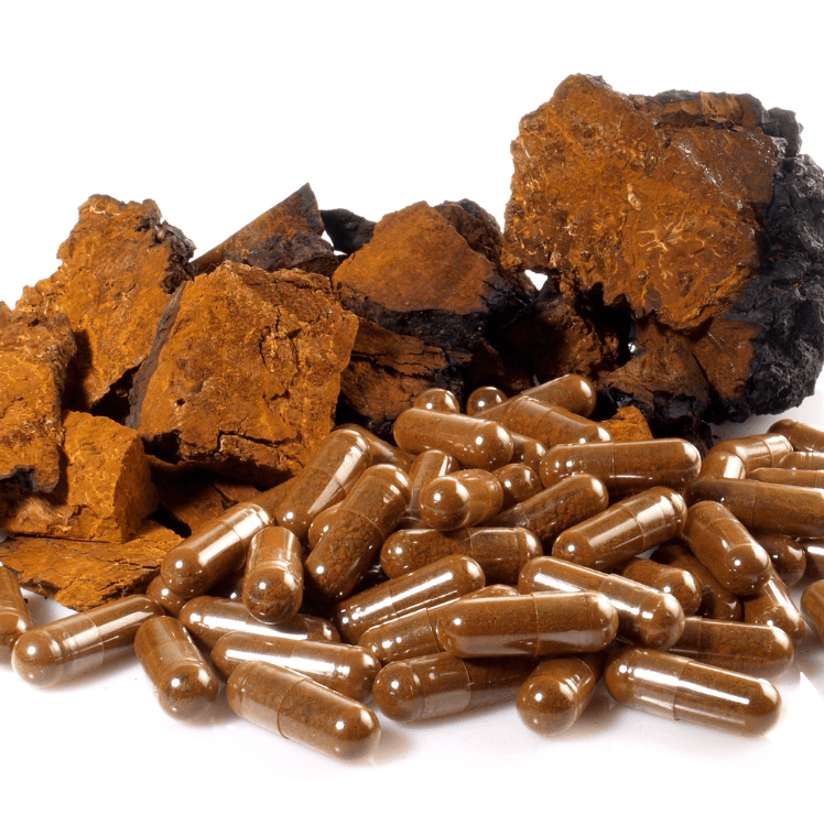 Modern Uses in Foods