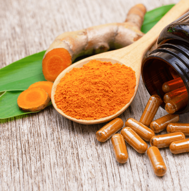 Modern Uses in Foods