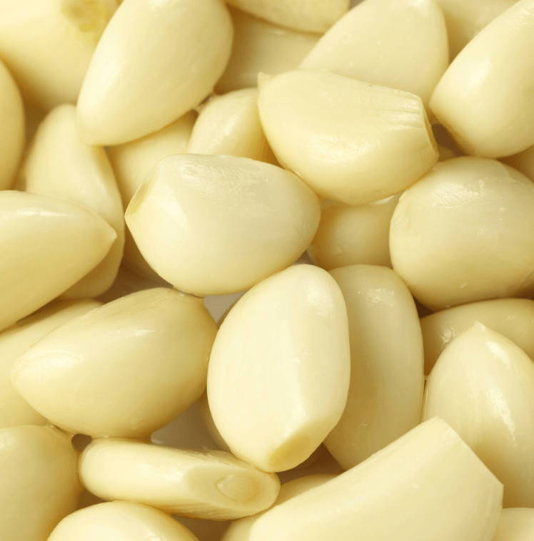 Modern Uses in Foods