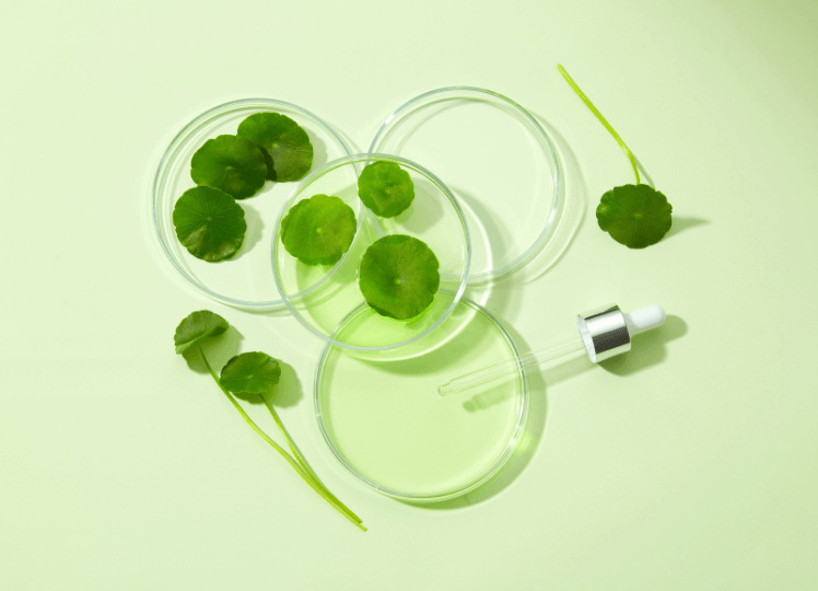 Origins and Traditional Uses