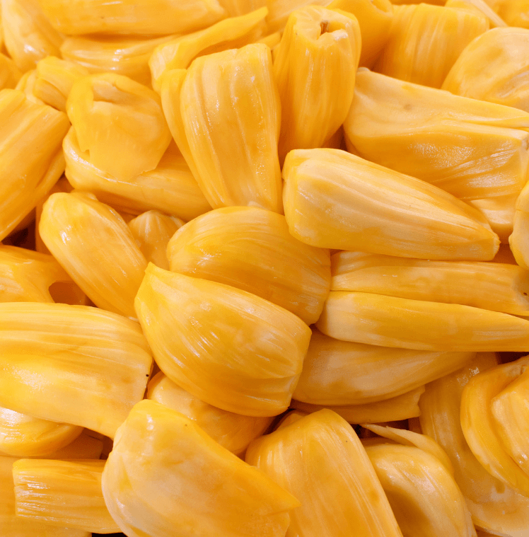 Modern Uses in Foods