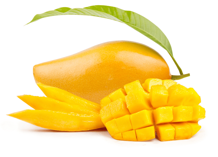 Origins and Traditional Uses