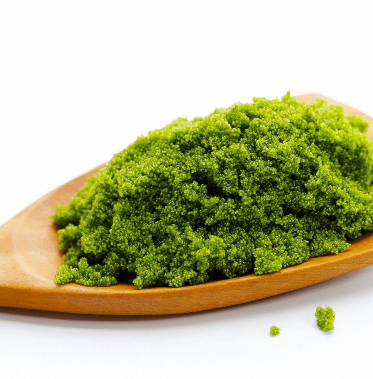 Modern Uses in Foods