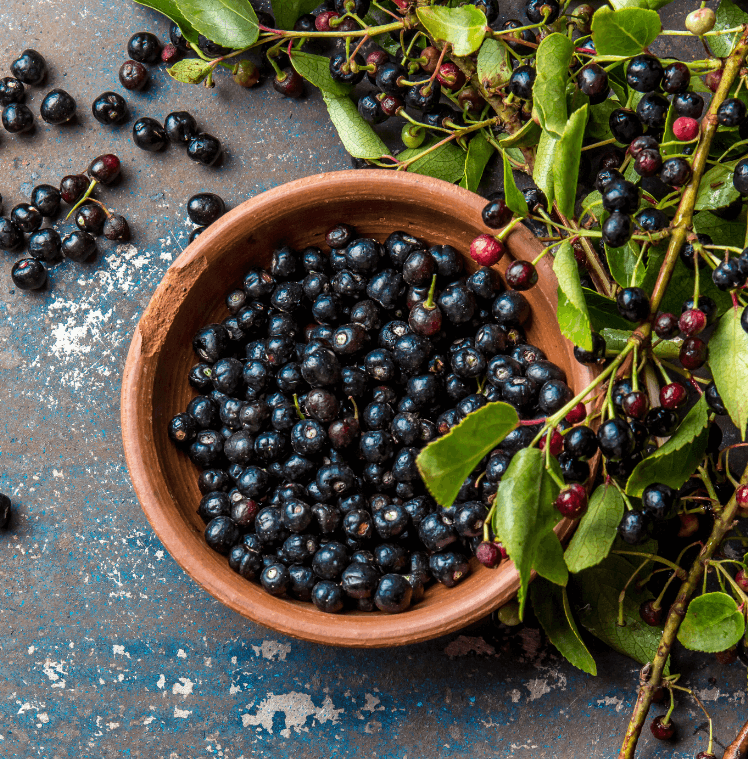 Modern Uses in Foods