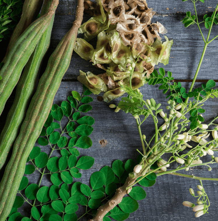 Modern Uses in Foods