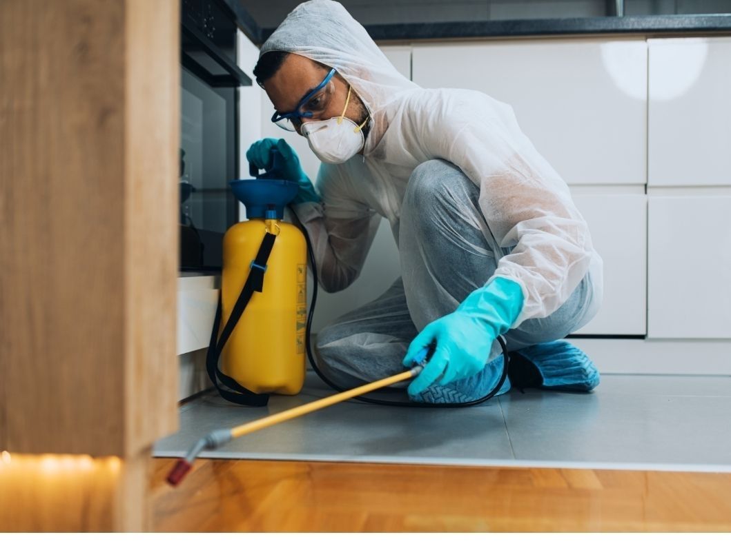 A Pest Control Product Tailored To Your Brand