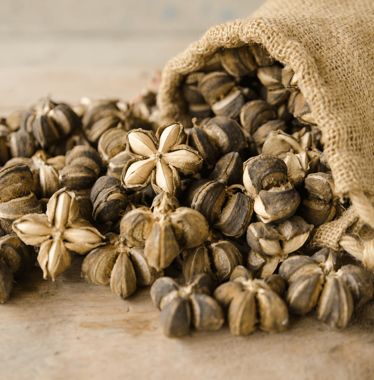 Use in Consumer Products