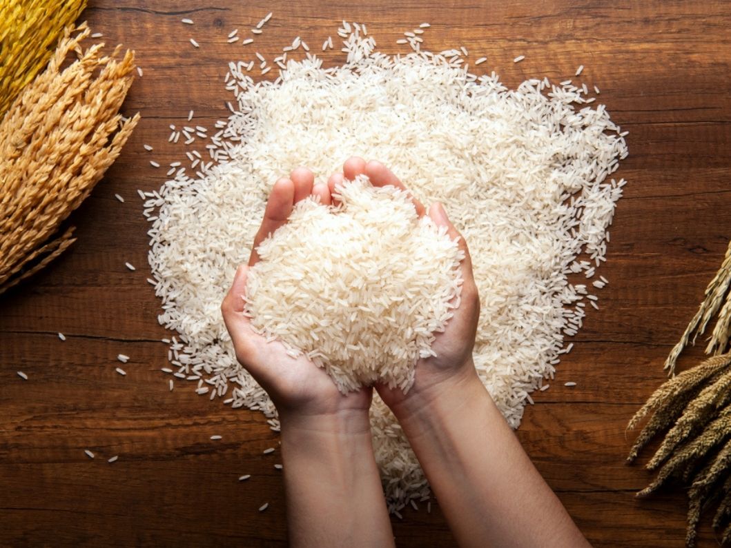 Types of Jasmine Rice: