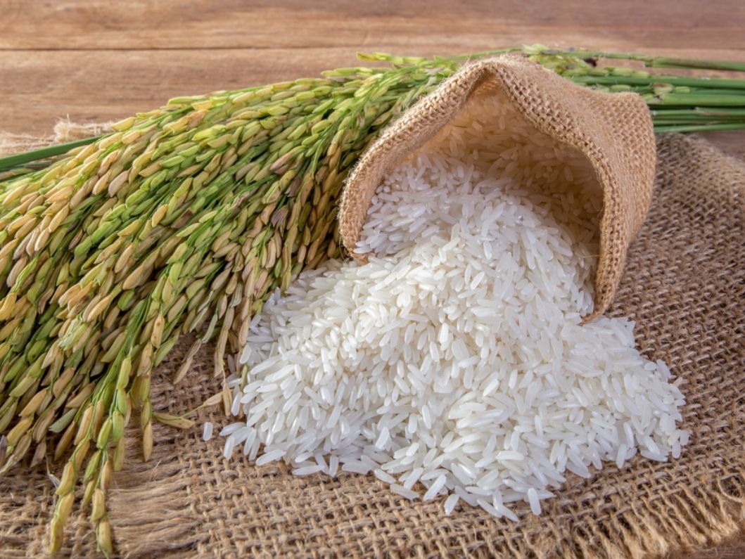 Culinary Uses of Jasmine Rice: