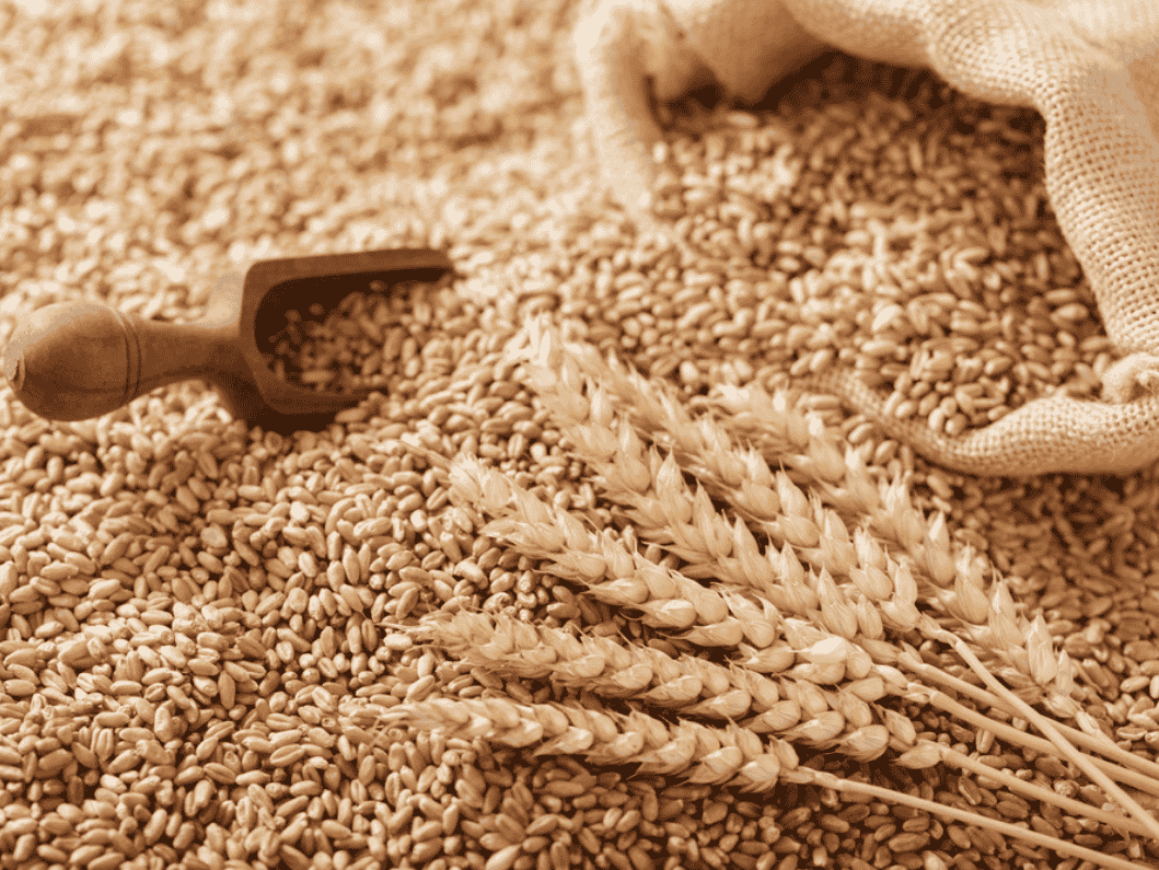 Types of Traditional Grains: