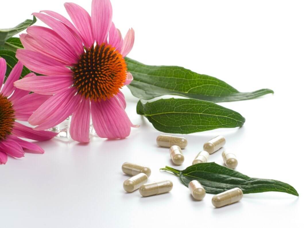Types of Plant-Based Supplements: