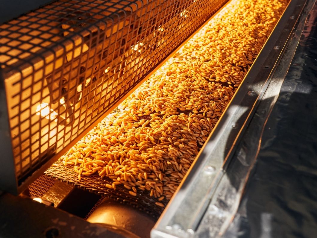 Key Features of Drying