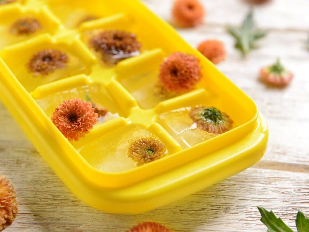 Features of Divided Trays