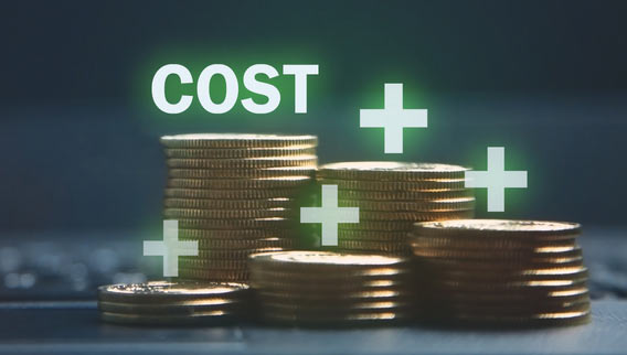 shutterstock_1936262098